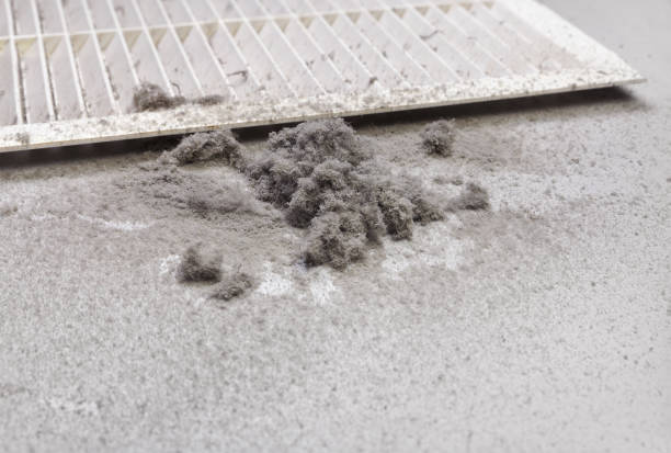 Best Air Duct Cleaning Company Near Me  in Defiance, OH