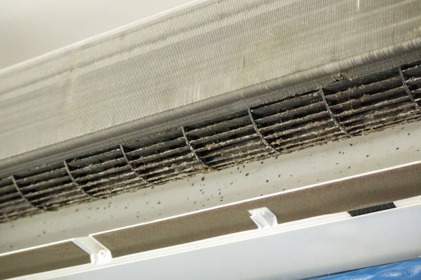 Best Air Duct Cleaning Near Me  in Defiance, OH